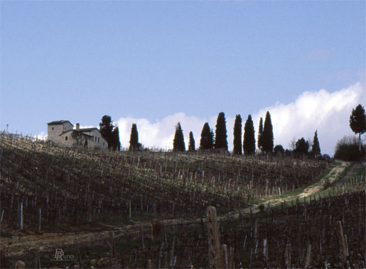Bild: Weingut in der Toskana (Fotografie, 1989)
